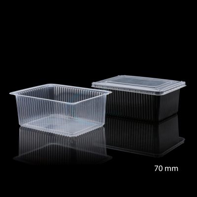 HEIGHT 75 MM SEALABLE FOOD TRAYS