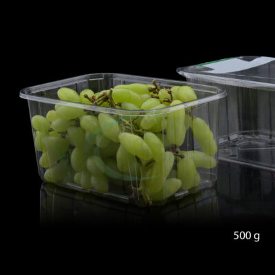 500G OPEN TOP HEAT SEAL PUNNET