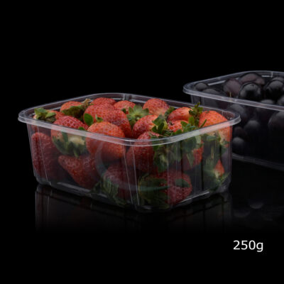 250G OPEN TOP HEAT SEAL PUNNET